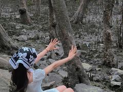 -宝安西湾红树林湿地公园