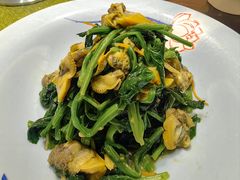 -中苑海韵