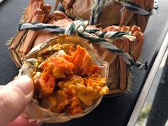 掀起蟹盖-七的湖·晚芳亭·阳澄湖农家菜·大闸蟹(莲花岛店)