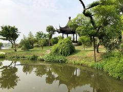 -鹅湖玫瑰文化园