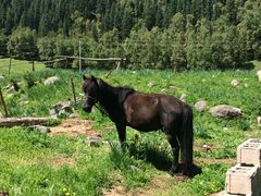-互助北山国家地质公园漂流