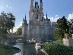 -奥兰多迪士尼动物王国乐园