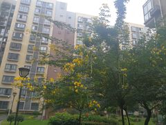 -金龙渔港(双楠店)