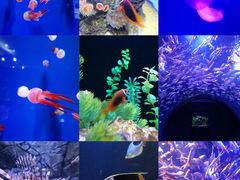 -成都浩海立方海洋公园