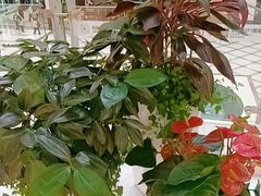 -百荣世贸商城
