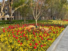 -豫园志愿服务青年中心