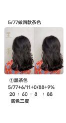 -YESIDO椰岛造型