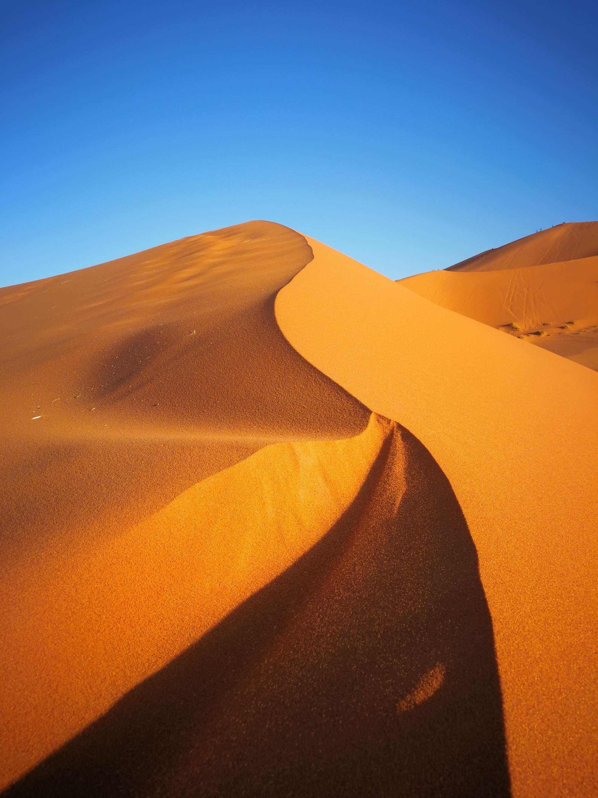 沙漠风光大揭秘