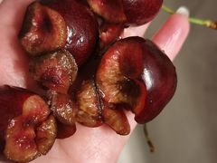 -鲜丰水果(昆山第一人民医院店)