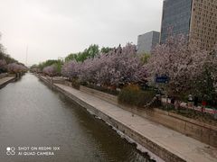 -元大都城垣遗址公园