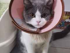 -安安宠医·安宠宠物医院