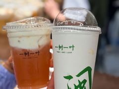 -一树一叶·福建茶档(石鼓路店)