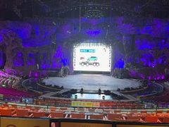 -广州长隆国际大马戏