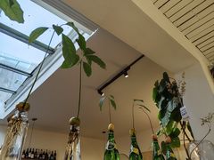 -沏点Trattoria意大利餐厅(新街口店)