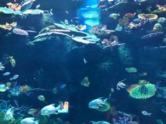-暹罗海洋世界