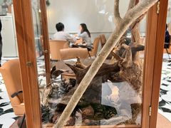 -一尺花园(安和花园店)