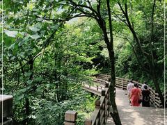 -娄山关景区-大尖山战斗遗址