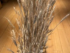 -西村日本料理(香格里拉饭店)