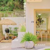 廣州 | 擁有200年樹齡樟樹，隱藏在市橋の咖啡民宿‼️