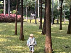 -晓港公园