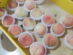 -老袁家蜜桃农场·阳山水蜜桃