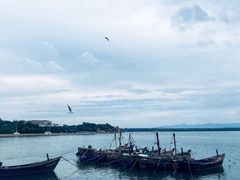 -老虎石海上公园