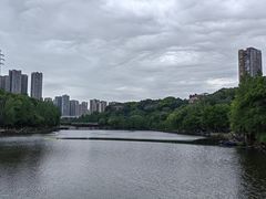 -重庆彩云湖湿地公园
