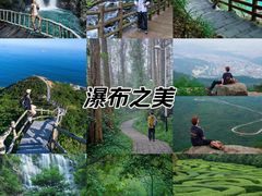 -东莞市大岭山森林公园