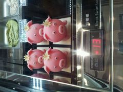 android_upload_pic-BLACKSWAN黑天鹅(环球店)