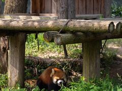 -宁波野生动物园