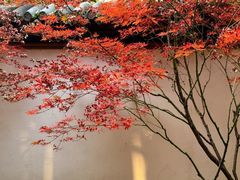 -成都杜甫草堂博物馆