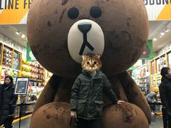 -line friends(明洞旗舰店)