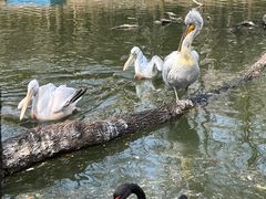 -济南野生动物世界