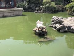 -祝家花園(伯渎港店)