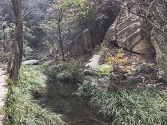 -木兰云雾山