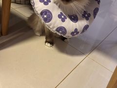 -美联众合动物医院·24h转诊中心