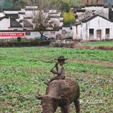 世界遗产必打卡|黄山脚下西递古镇旅游攻略