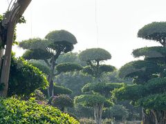 -南宁南湖公园