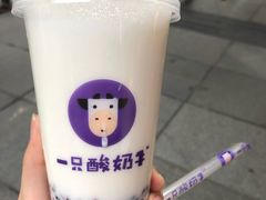 -一只酸奶牛(八一路店)