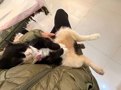 -平行世界·猫咖(首经贸店)