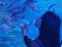 -太平洋海底世界