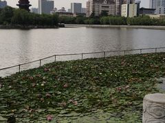 -迎泽公园