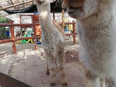 -万源龙顺度假庄园生态观光园