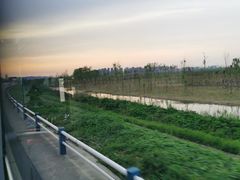 -合肥滨湖国家森林公园