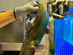 -鱼酷活鱼烤鱼(恒隆广场店)