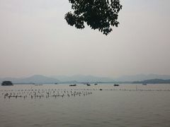 android_upload_pic-杭州西湖仁和饭店(湖滨银泰in77店)