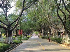 -厦门大学(思明校区)