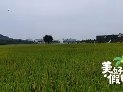 -艾米稻香小镇
