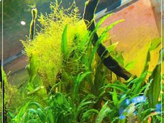 -渔寿司·日本料理(艾尚天地店)