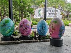 -100蛋泥浆浴